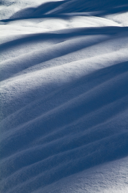 Melt Patterns In Snow